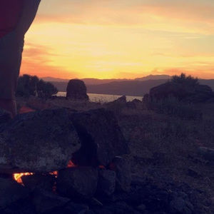 Meet your Posher, Ally